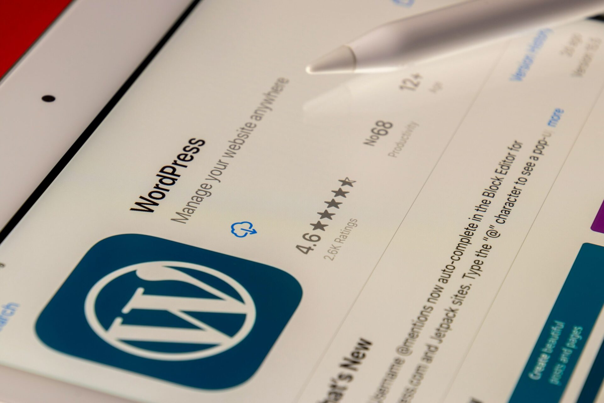 10 essentielle Plugins für jede WordPress-Seite